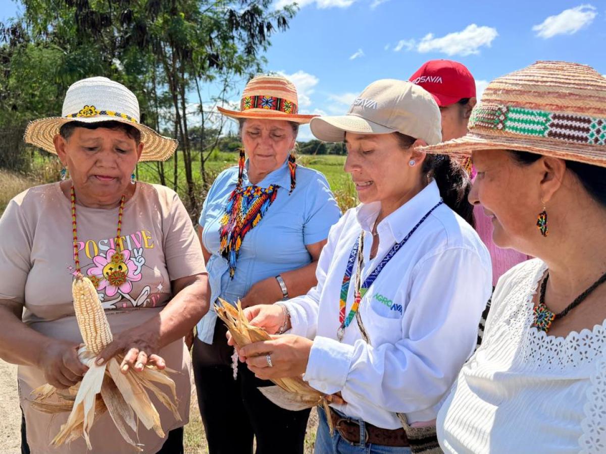 Comunidad Tama Páez crea banco de semillas nativas en Neiva