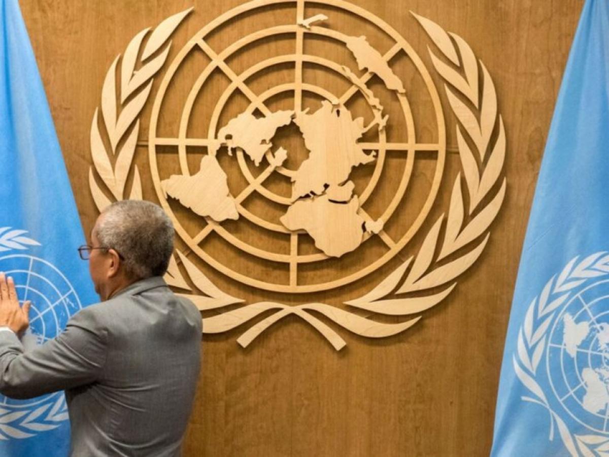 Con 165 votos a favor, la ONU pide el fin del bloqueo económico a Cuba Con 165 votos a favor, la ONU pide el fin del bloqueo económico a Cuba