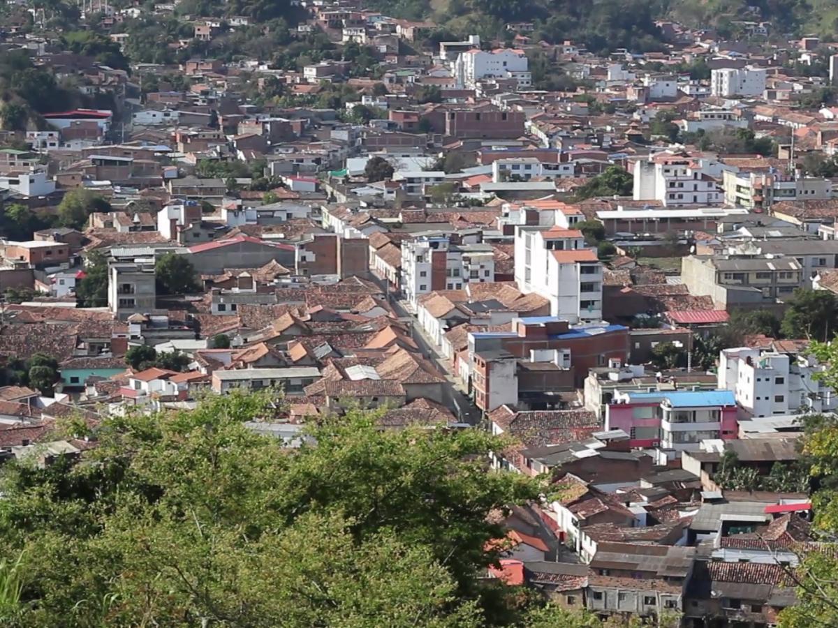 Proyectos agrícolas: Población del Catatumbo tendrá financiación 