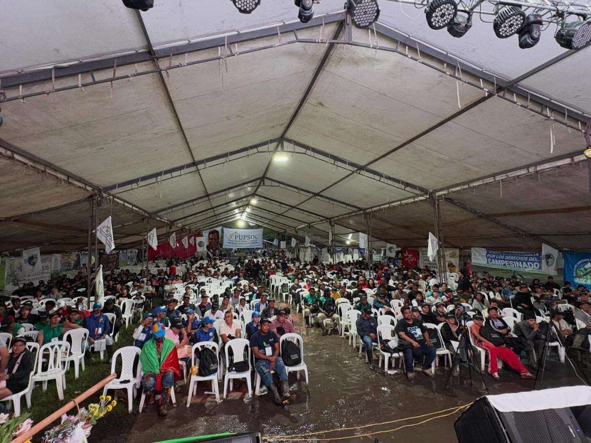 Organizaciones sociales Cauca movilización Venezuela