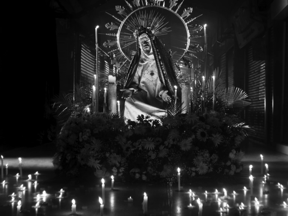 Mira películas gratis en RTVCPlay: Paloquemao, historia de vampiros