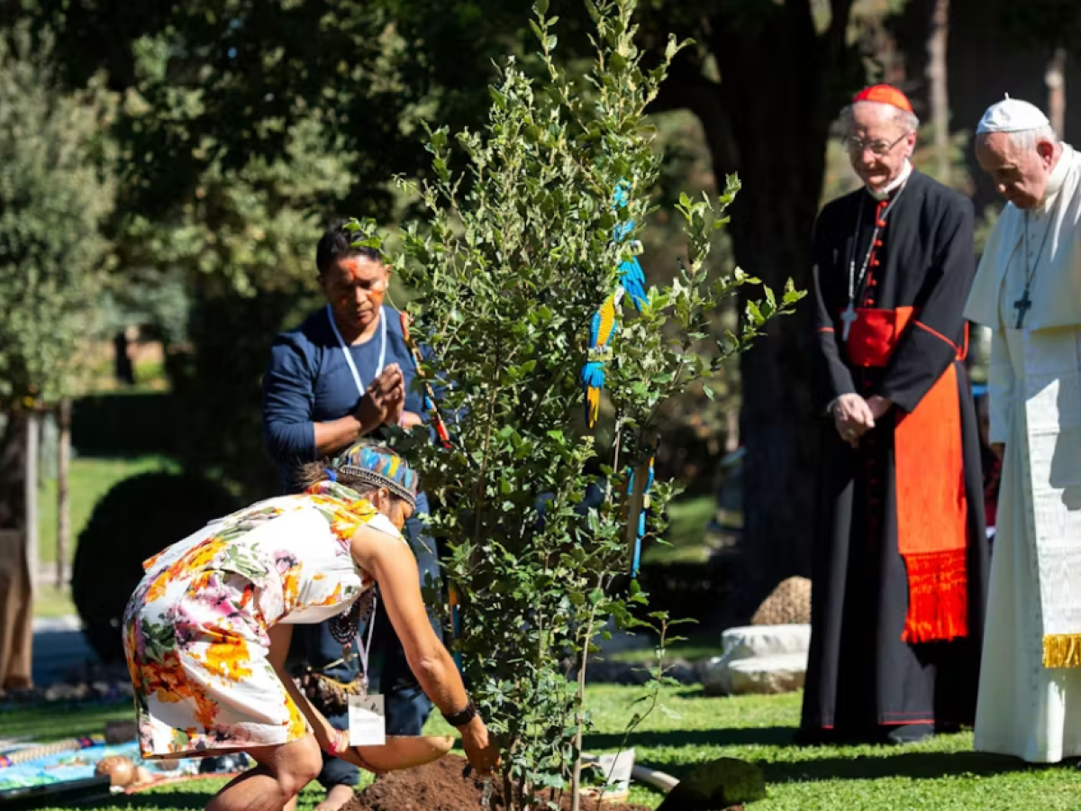 Tres formas en que el papa Francisco influyó en el movimiento climático mundial