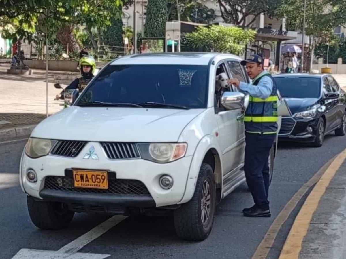 Pico y placa Bucaramanga HOY: 18 al 21 de noviembre de 2025