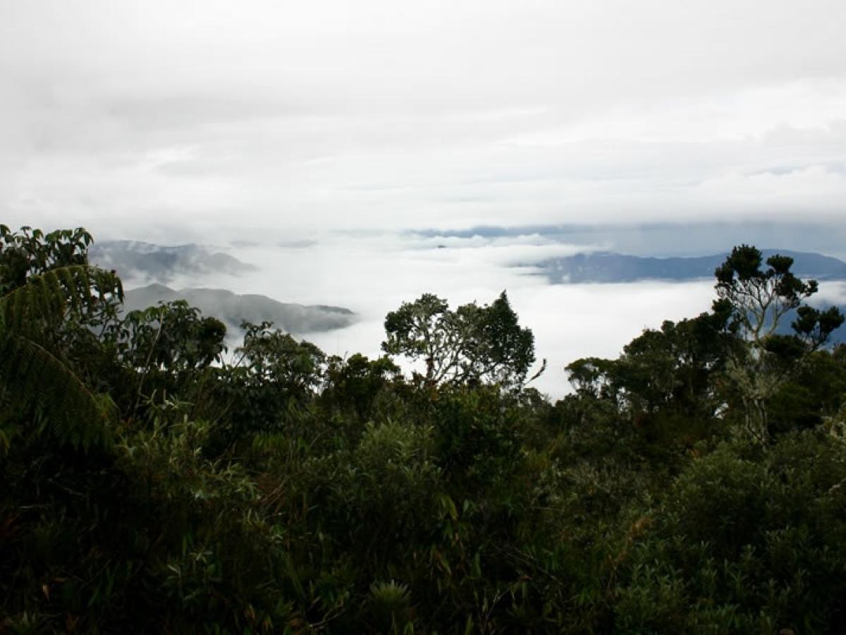 Parque Farallones de Cali, riesgo por minería ilegal