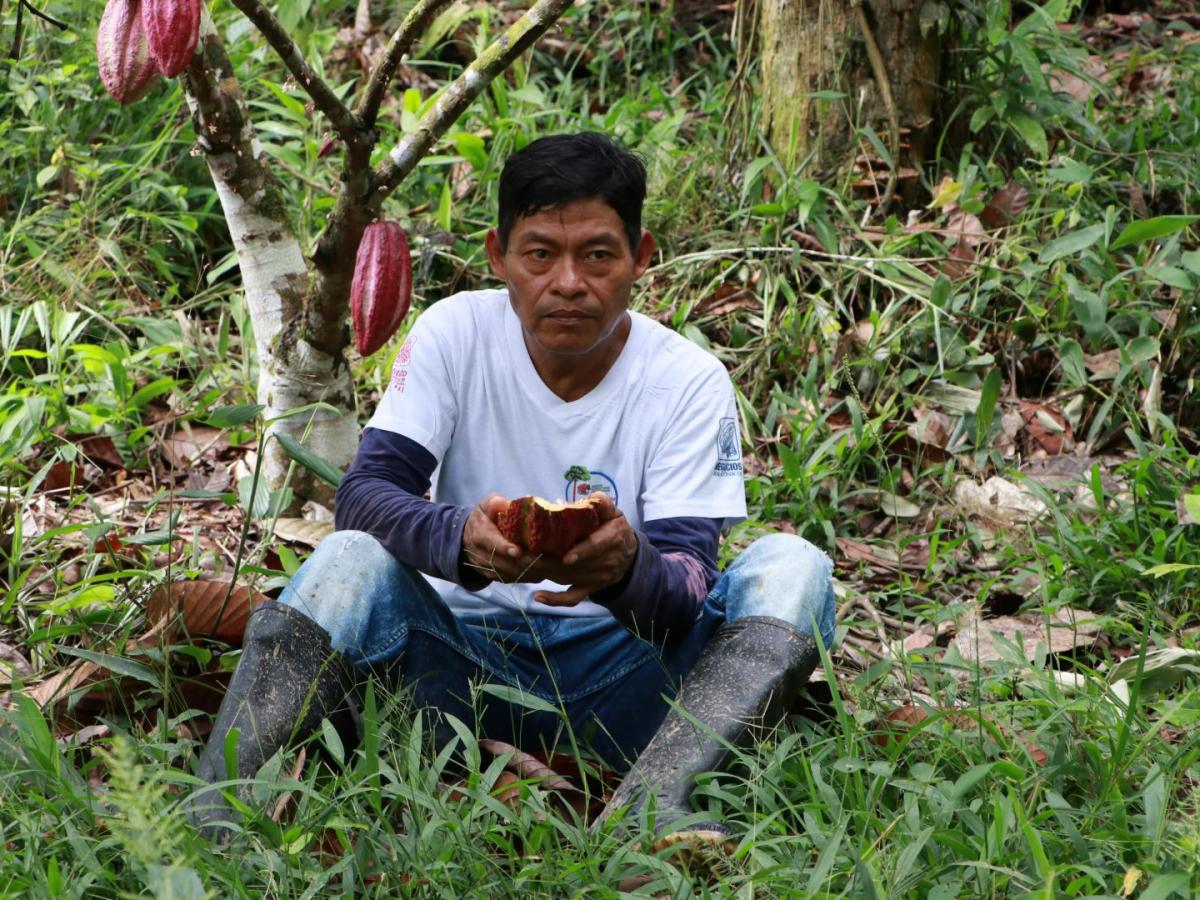Surgir como la ceiba: preservación y saberes del Amazonas