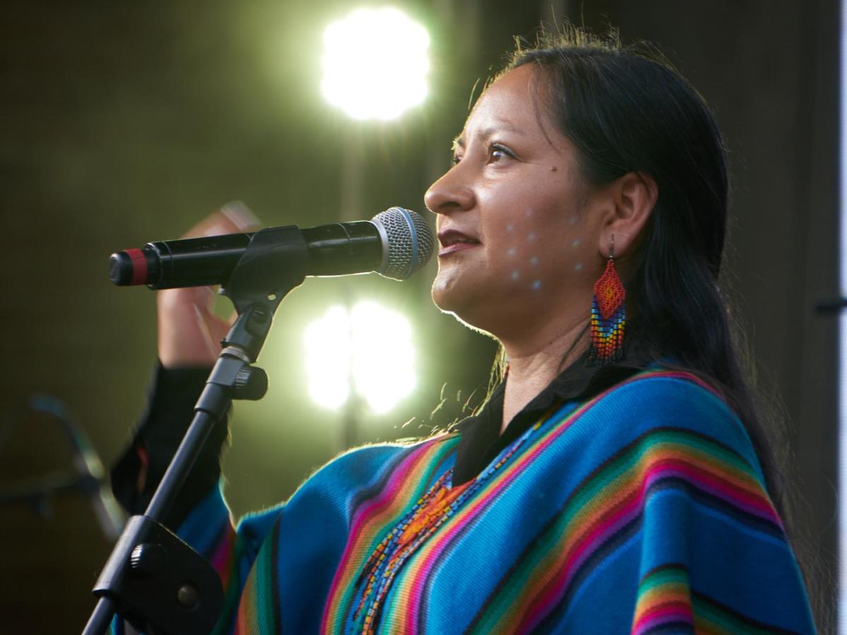 Festival Raíces Bogotá Andina: programación e invitados Bogotá 