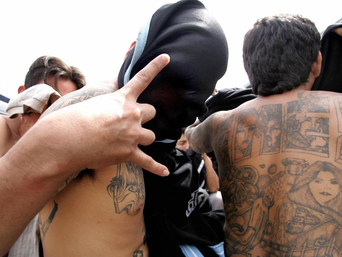 El Salvador espera capturar 8.000 pandilleros
