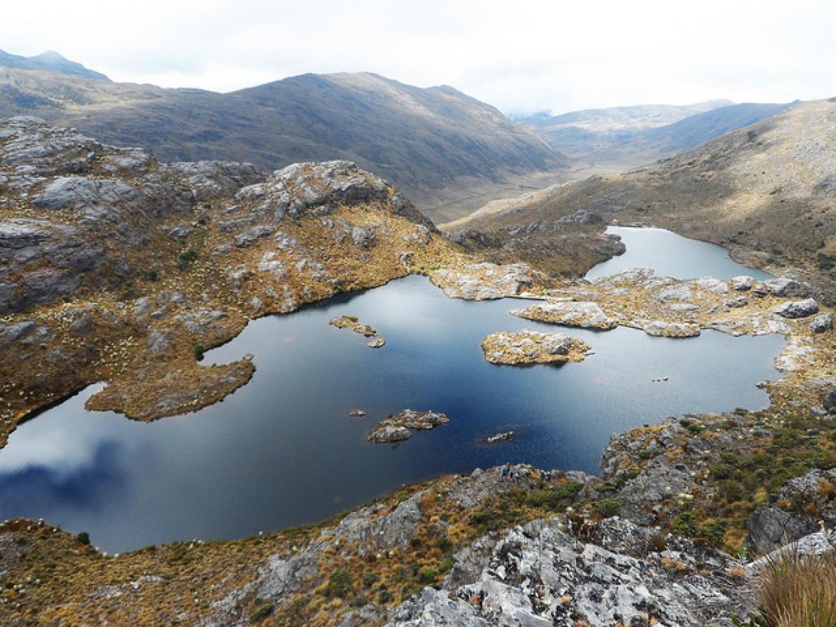 Páramo de Santurban es declarado sujeto de derechos
