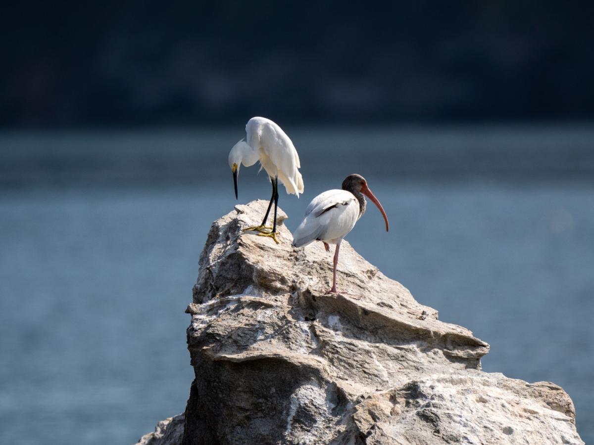 Parque Tayrona reabrió sus puertas hoy 16 de junio 2025 