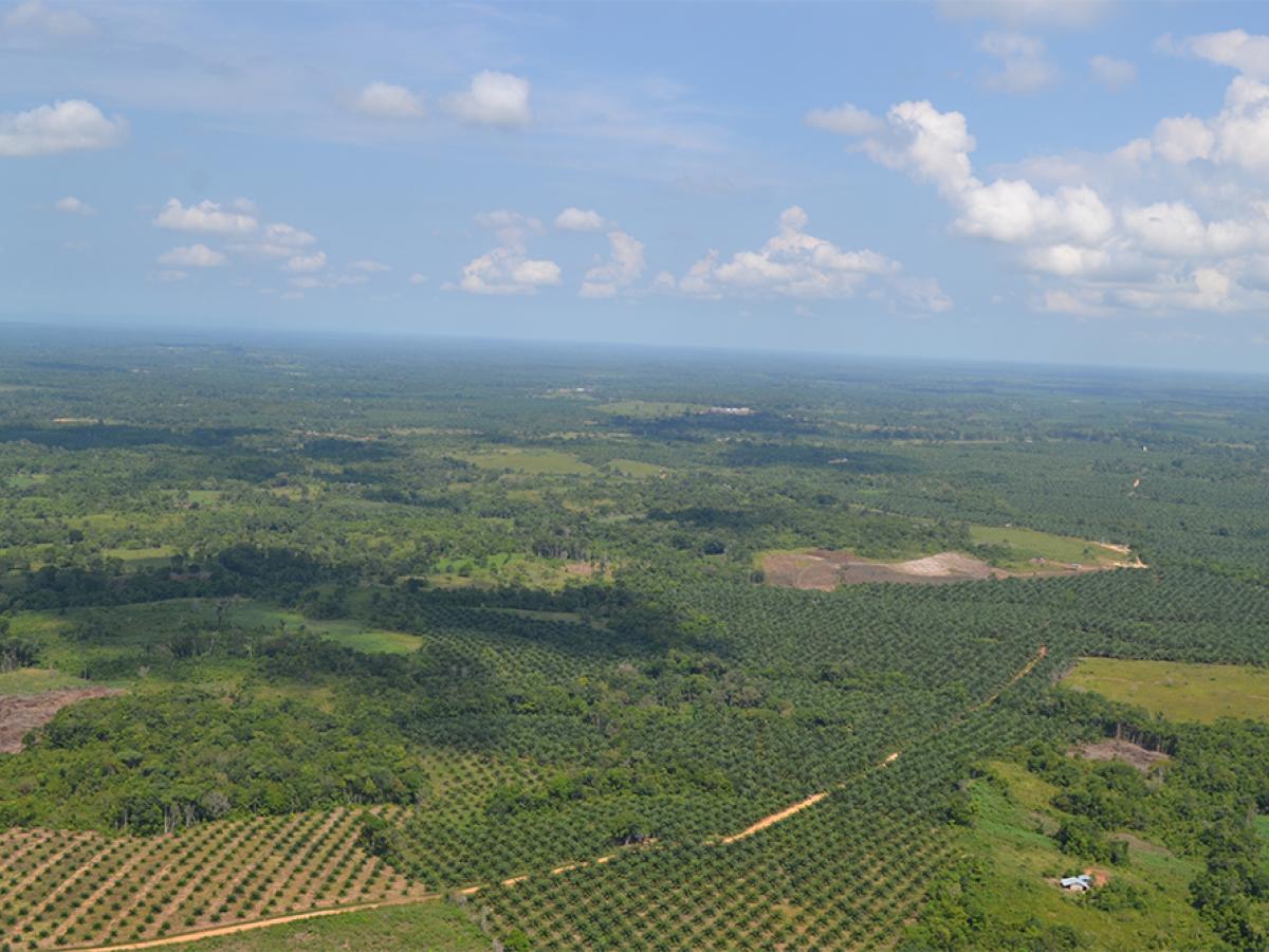 Paz: 27 proyectos comunitarios en el Catatumbo