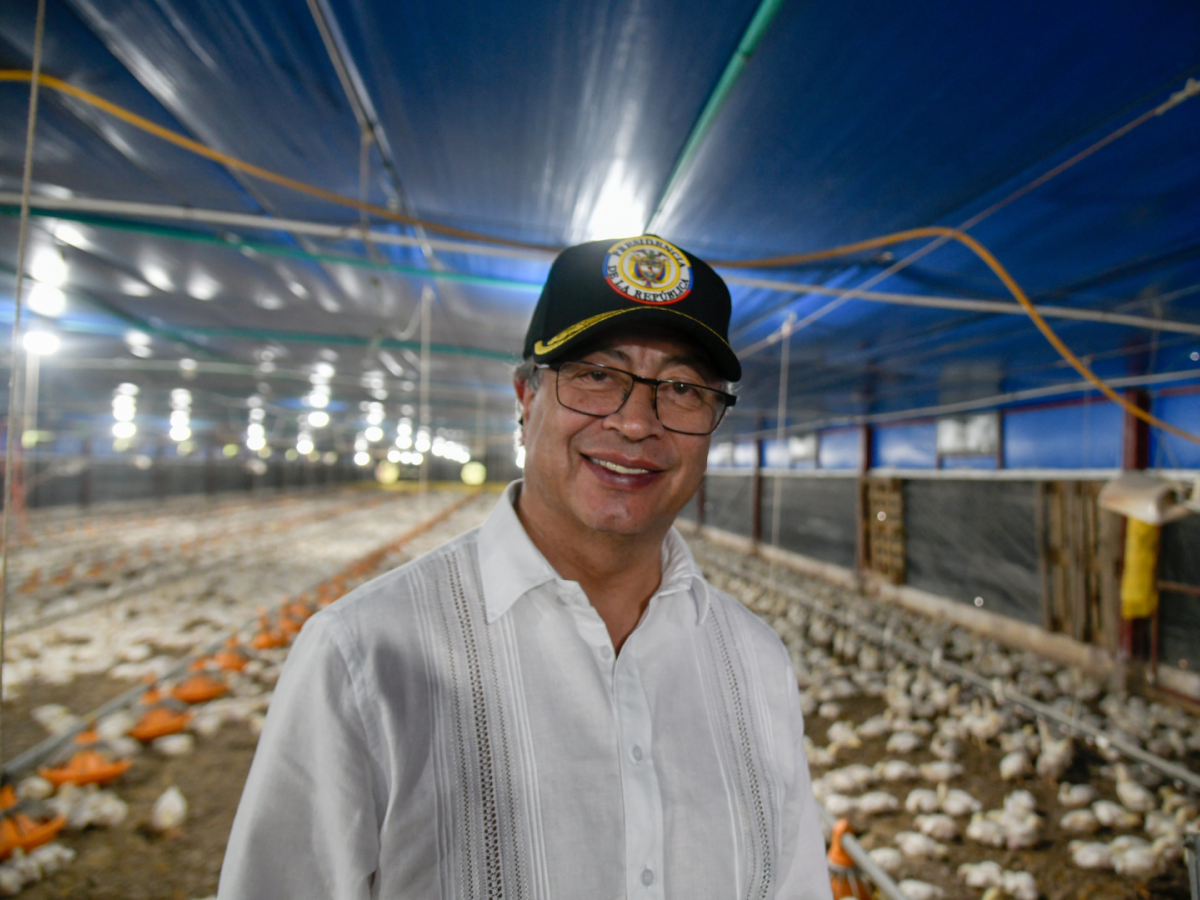 Situación en Ecuador: Petro pide medidas cautelares