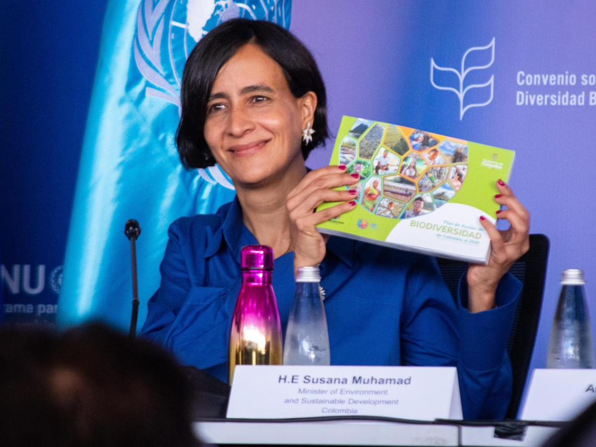 Plan de Acción de Biodiversidad de Colombia a 2030- COP16- Metas
