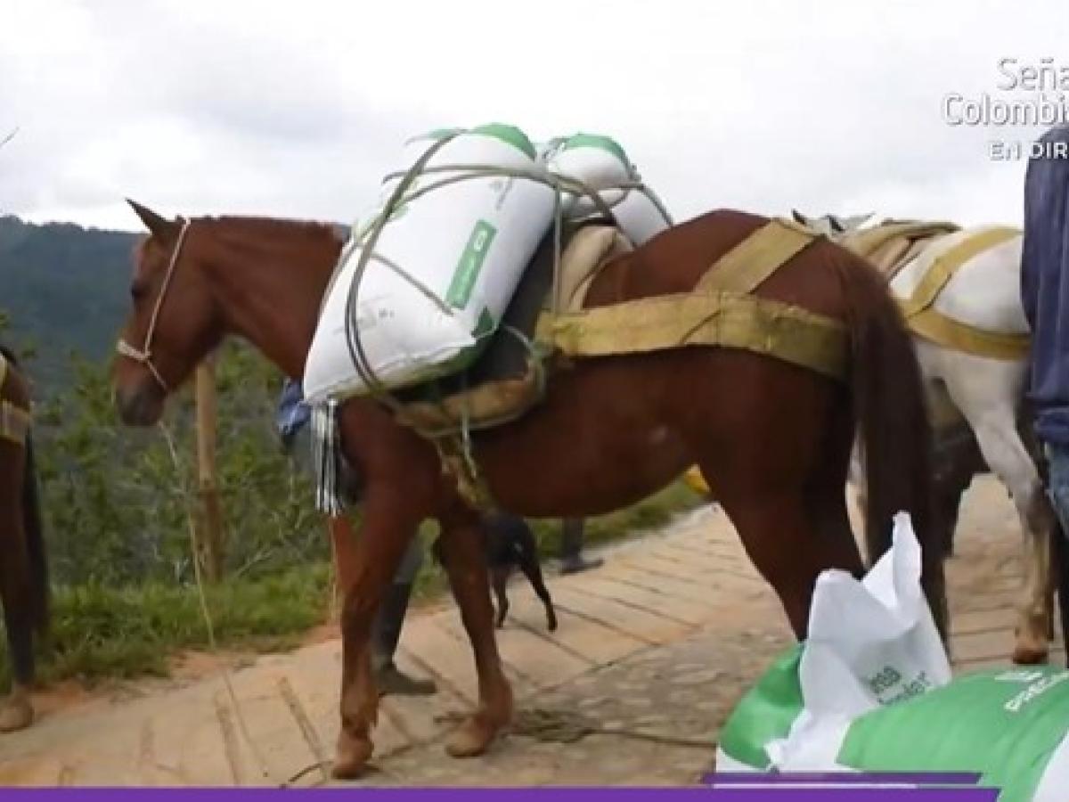 Planes de retorno a los territorios 