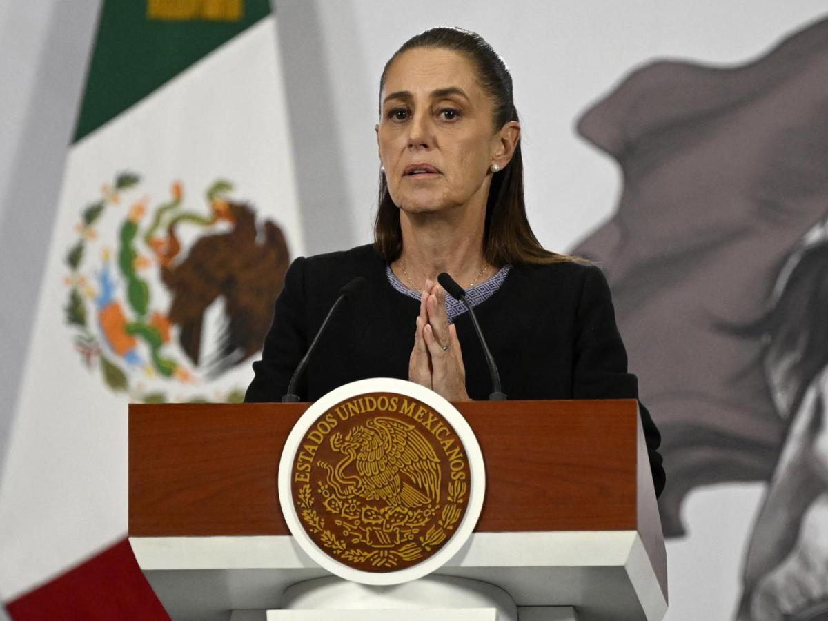 Presidenta de México confirma ayuda humanitaria a Cuba
