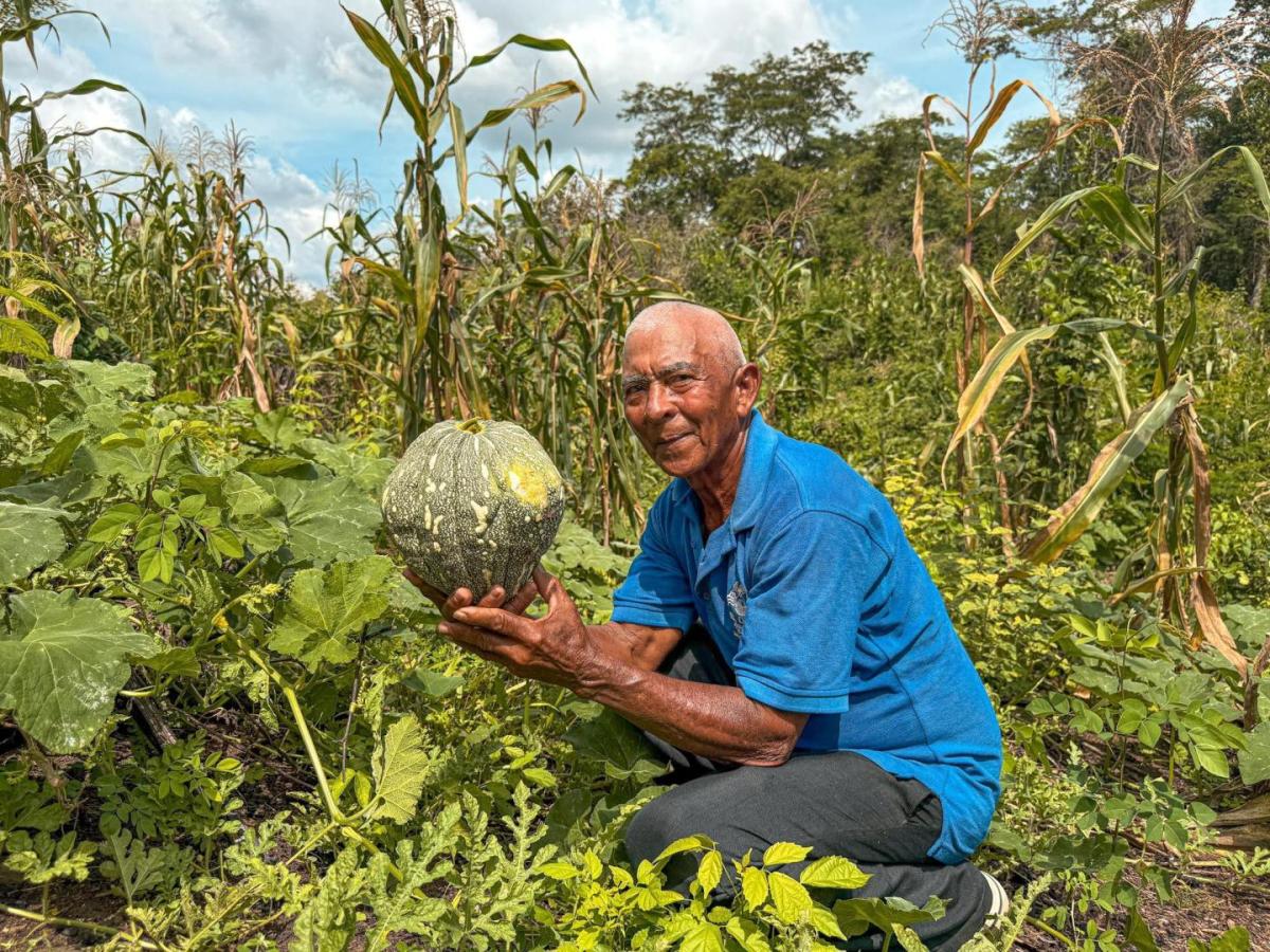 Presupuesto del sector agropecuario ha aumentado 139% en el gobierno de Gustavo Petro