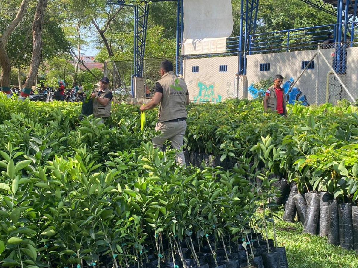 Programa de Sustitución de Cultivos Ilícitos Caquetá