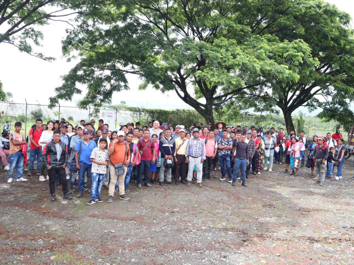 Proyectos cafeteros para familias indígenas en Cauca