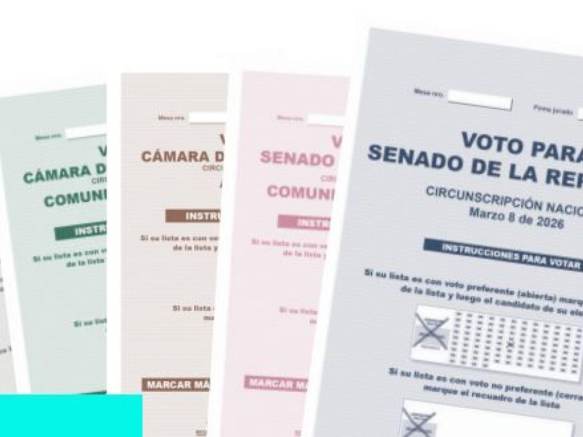 Qué tarjetas entregan para votar el 8 de marzo