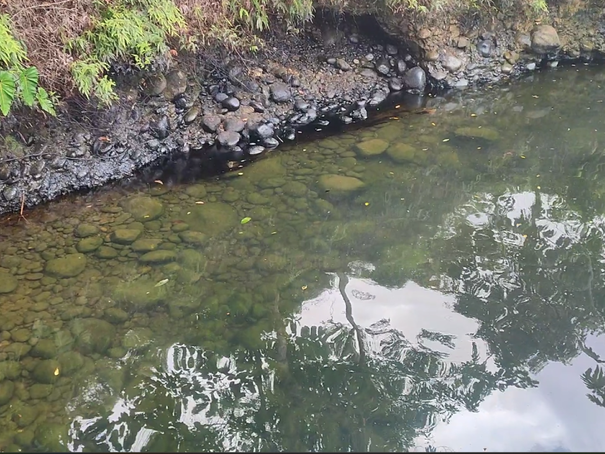 En Nariño hay más de 12 mil personas afectadas por derrame de crudo en ríos