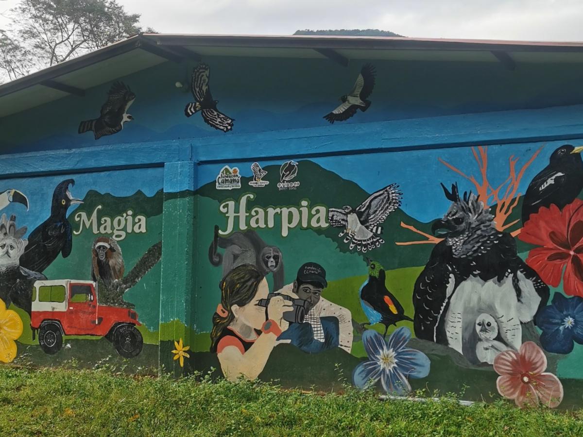 Meta: estudiantes de Vistahermosa cuidan el ambiente y fortalecen el turismo