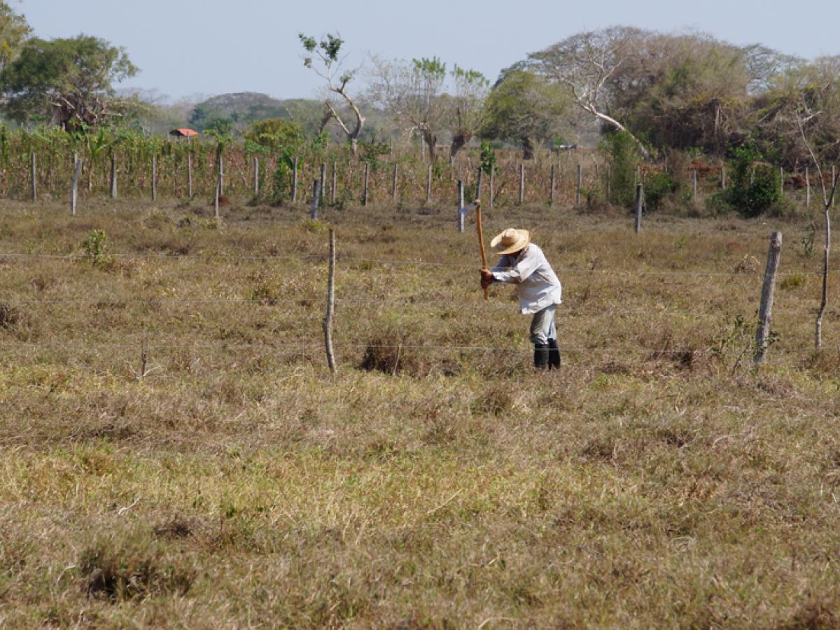 Entregan tierras en propiedad de los hermanos Castaño Gil para las victimas