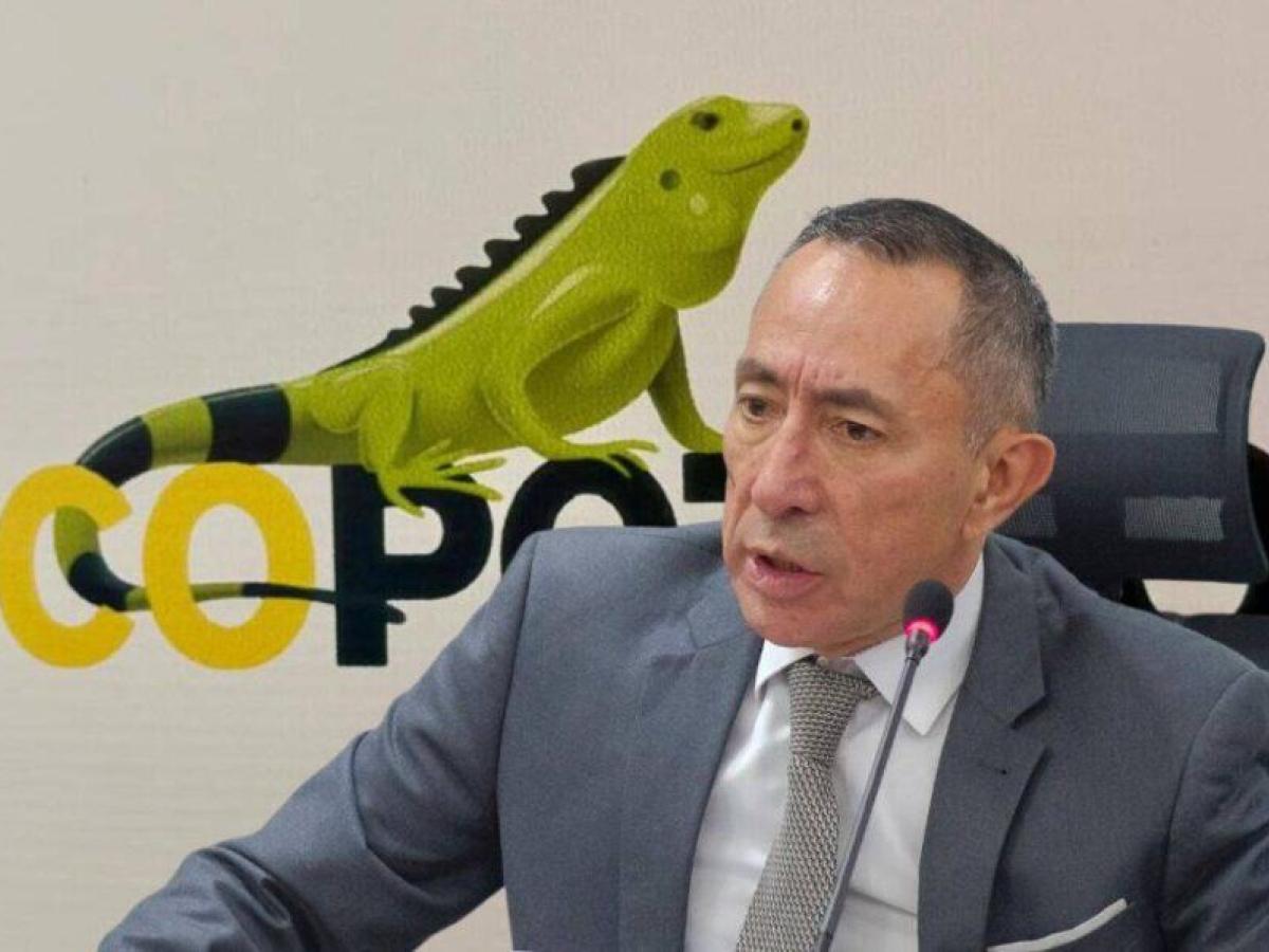 Junta de Ecopetrol aplaza decisión sobre Ricardo Roa