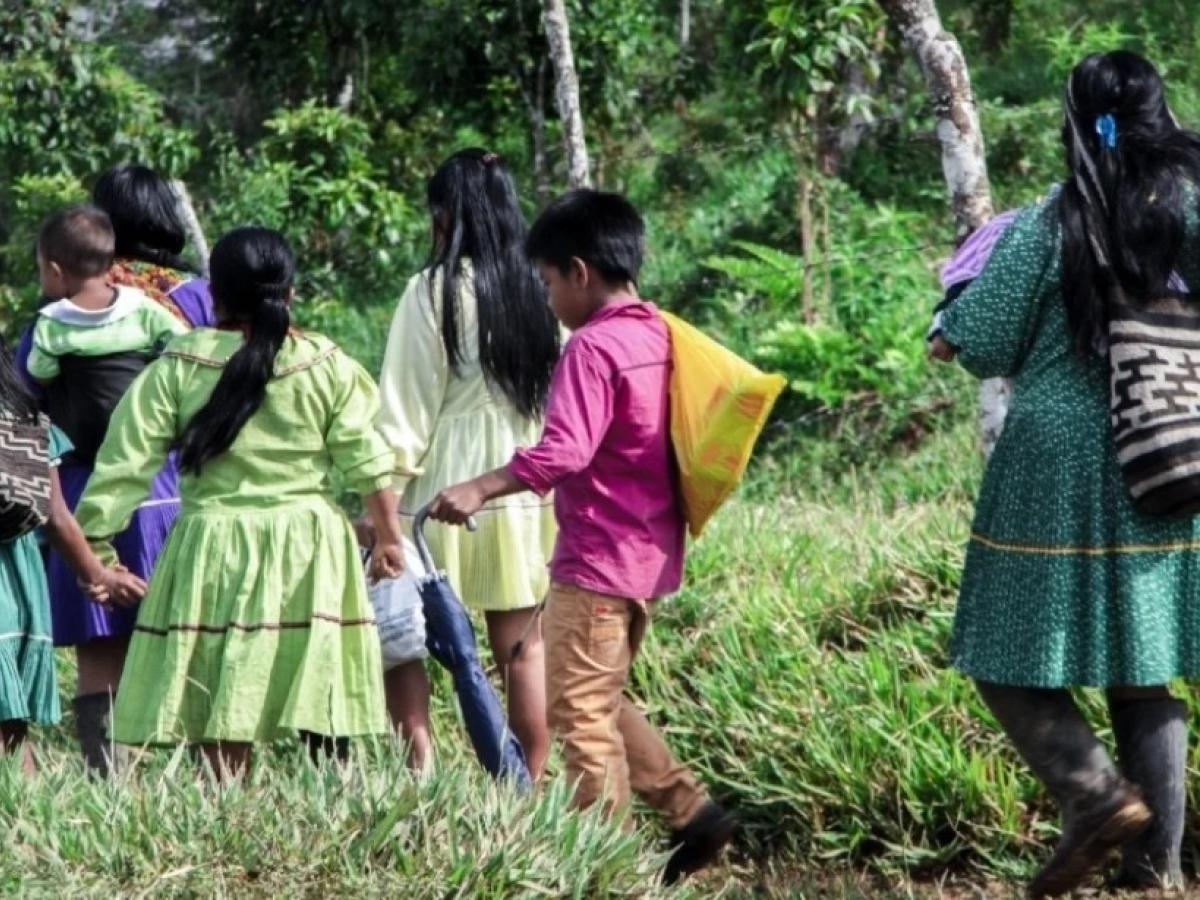 Risaralda activa plan contra la mutilación genital femenina