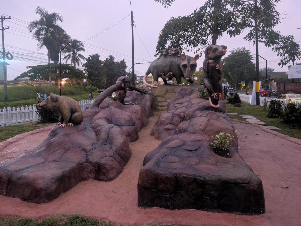 Ruta de la Zarigüeya Buenaventura