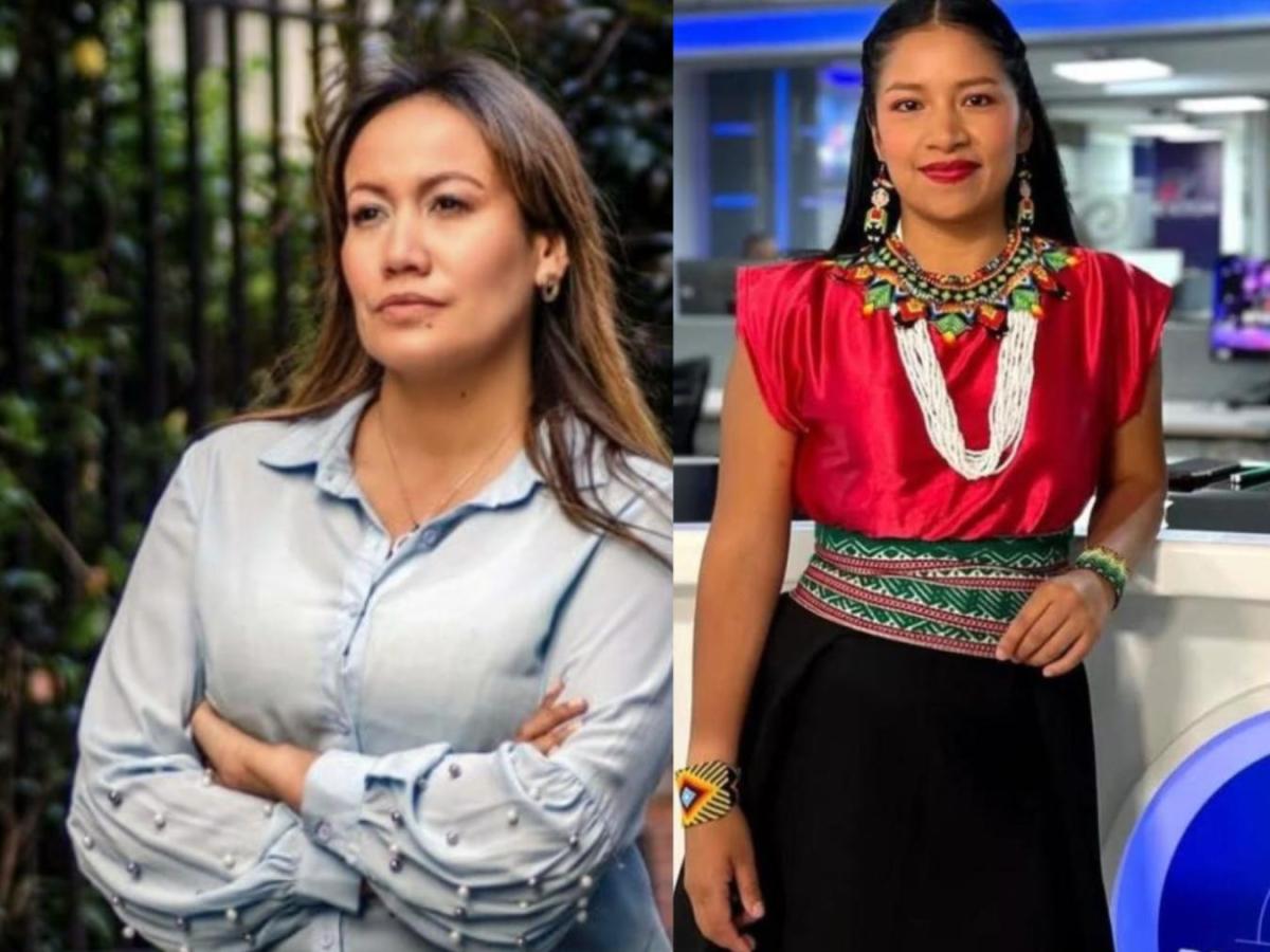 Sandra Chindoy y Carolina Corcho tutela contra el CNE