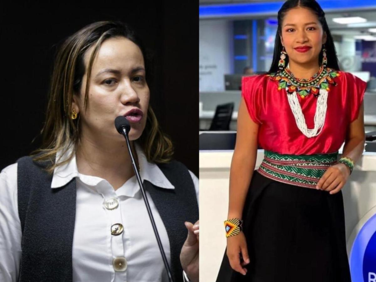 Sandra Chindoy y Carolina Corcho tutela contra el CNE