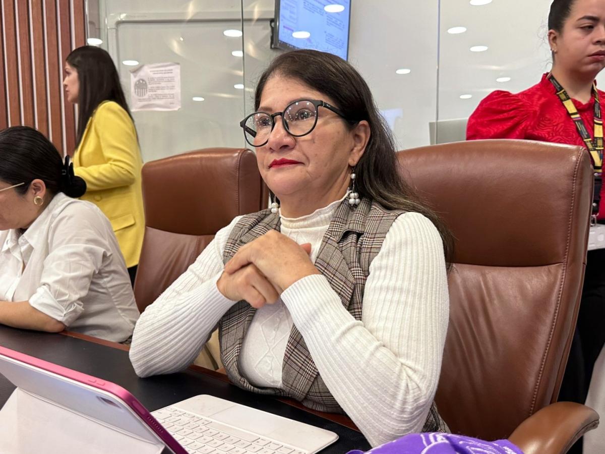 Golpe blando contra el presidente Petro: esto opina Sandra Ramírez