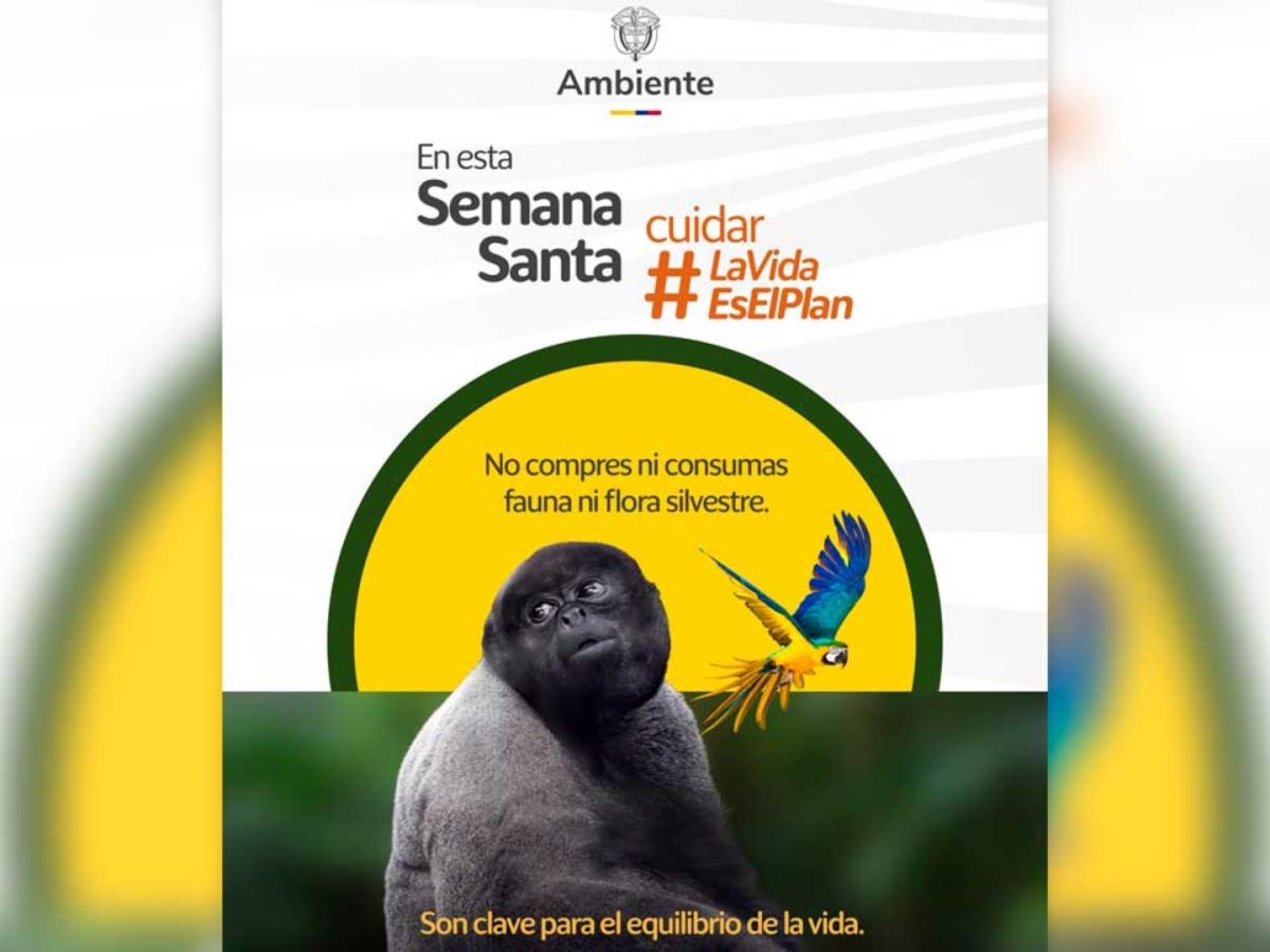 Semana Santa: refuerzan controles por tráfico ilegal de fauna y flora
