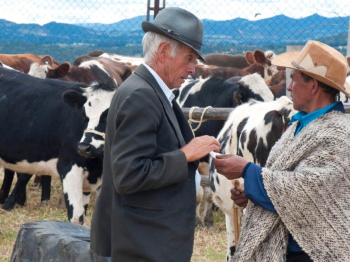 Lanzamiento de la 10ª edición de SiembraFest- inscripciones- cronograma