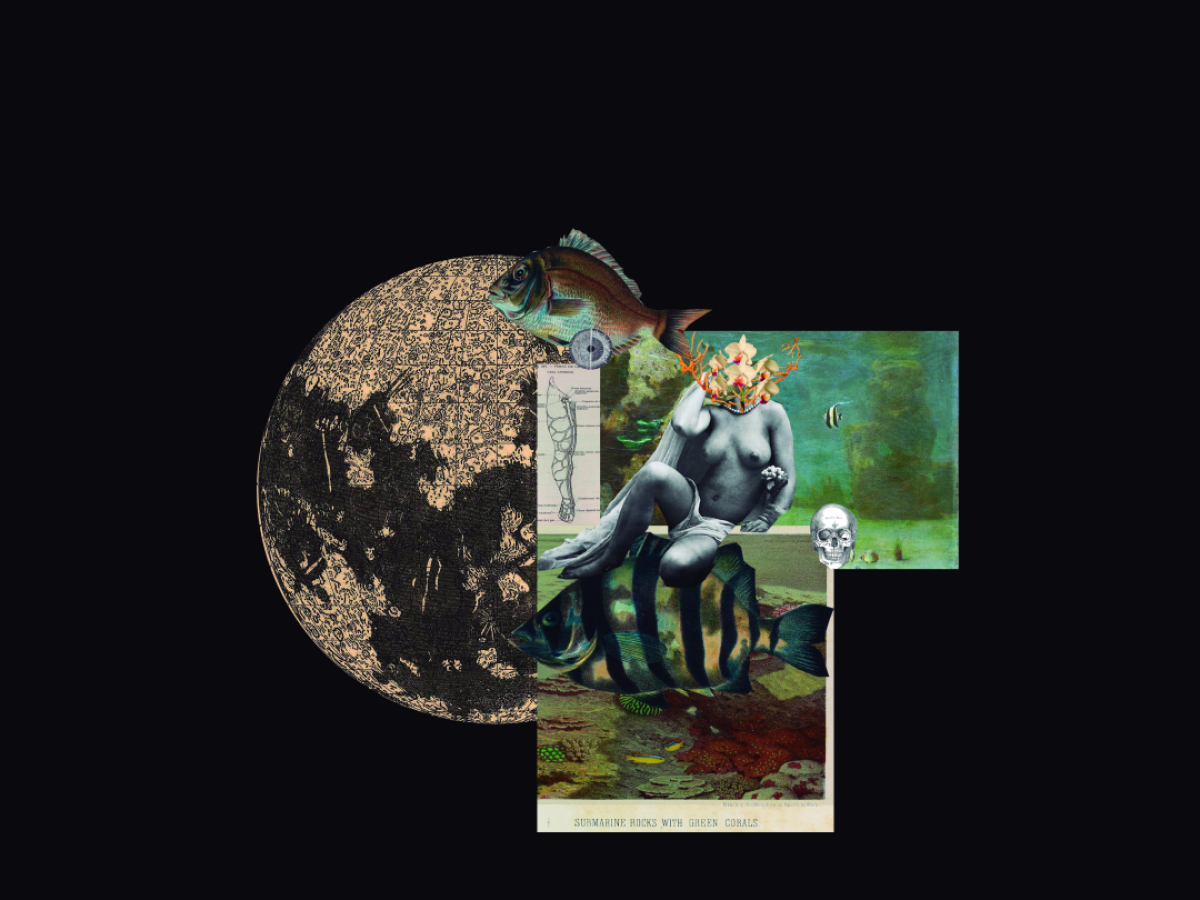 “El collage de ser mujer”: 12 voces femeninas se reúnen en una antología de poesía y arte