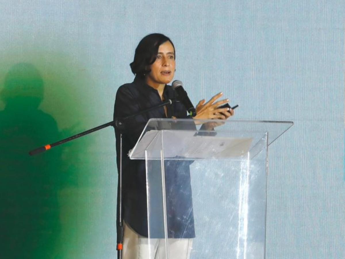 Transición energética: Gobierno Nacional anunció inversión