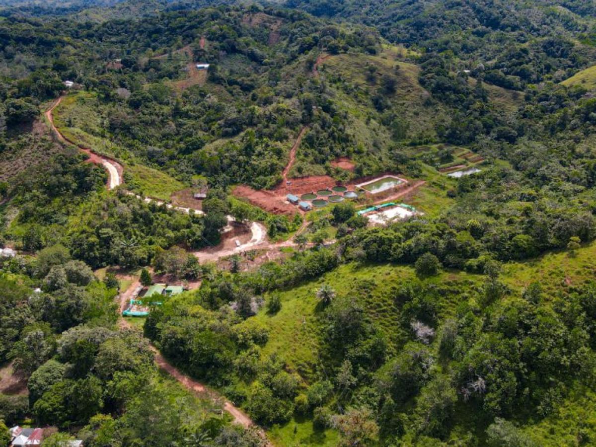 Entrega de tierras: ANT entregó más de 1700 hectáreas en Caceres 