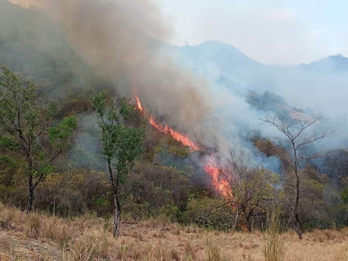 Incendio forestal HOY Natagaima: afectaciones municipio