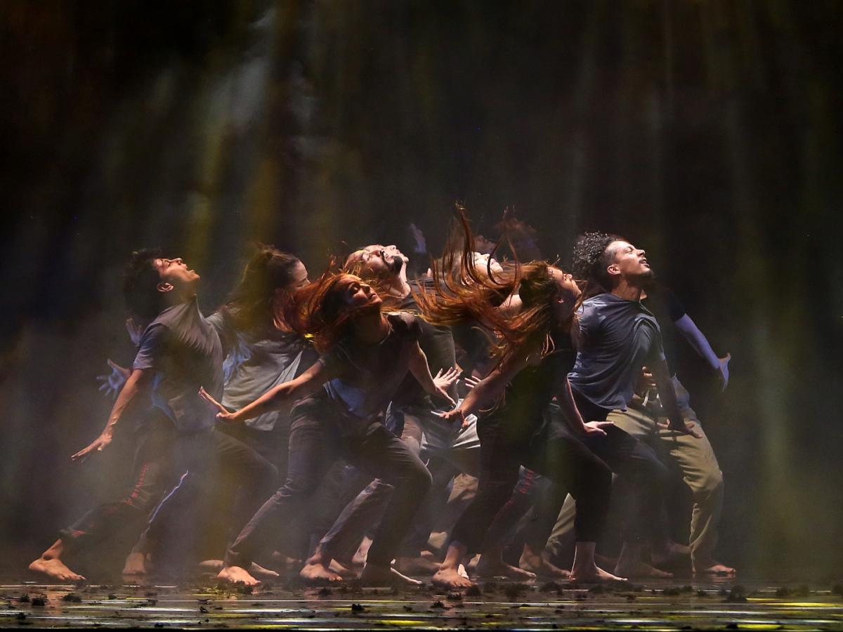 Festival Danza en la Ciudad, el evento que se tomará a Bogotá