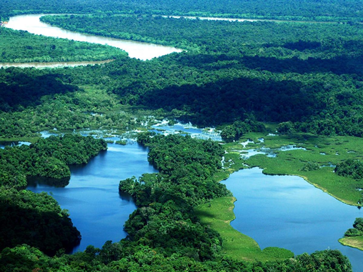 Deforestación Colombia 2023: cifras, reducción