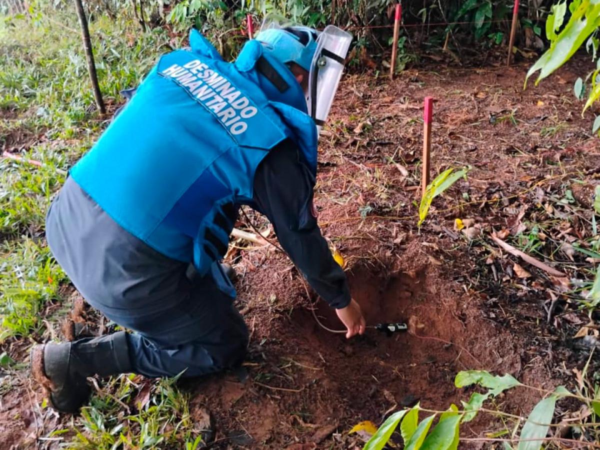 Toledo, Norte de Santander libre de minas antipersona 