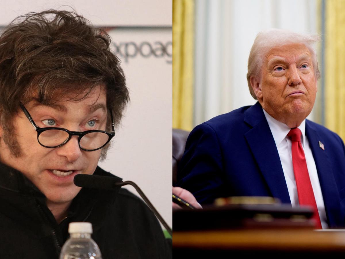 Criptomoneda Milei Trump: repercusiones