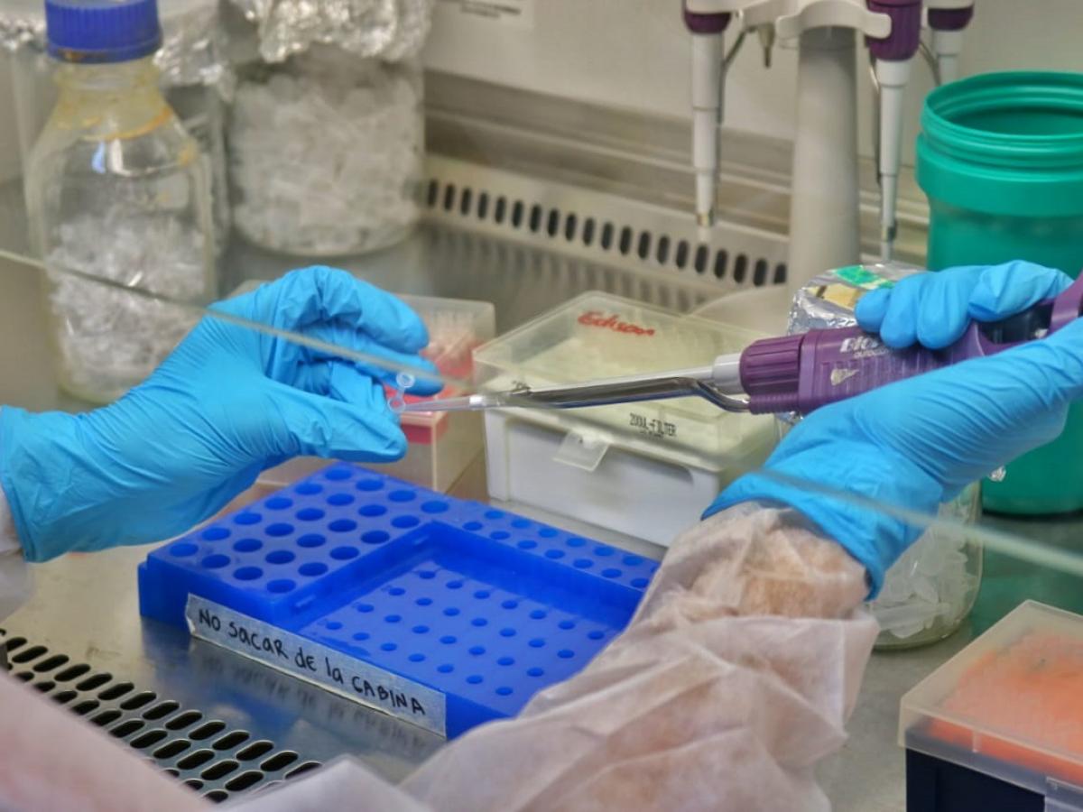 Cifras covid se reportarán semanalmente