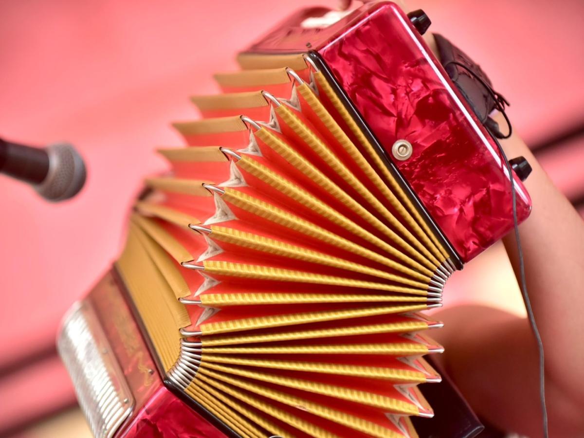 Festival vallenato: Así es el proceso para escoger al rey