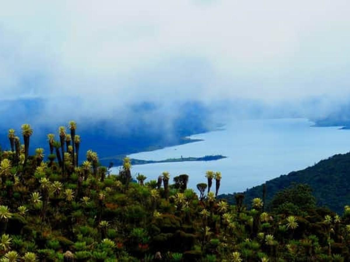 Biodiversidad ancestral en Colombia: Valle de Sibundoy y su riqueza cultural Biodiversidad ancestral en Colombia: Valle de Sibundoy y su riqueza cultural