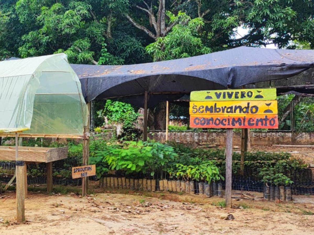 “Sembrando conocimientos”, el programa que busca proteger el Parque Nacional Natural Tinigua