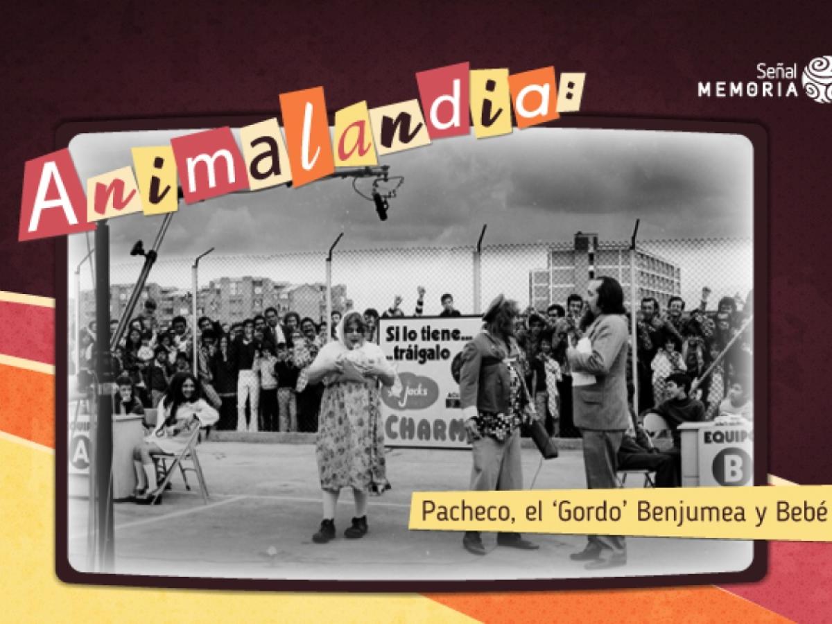 Día Mundial de la Televisión: programas icónicos de la TV colombiana