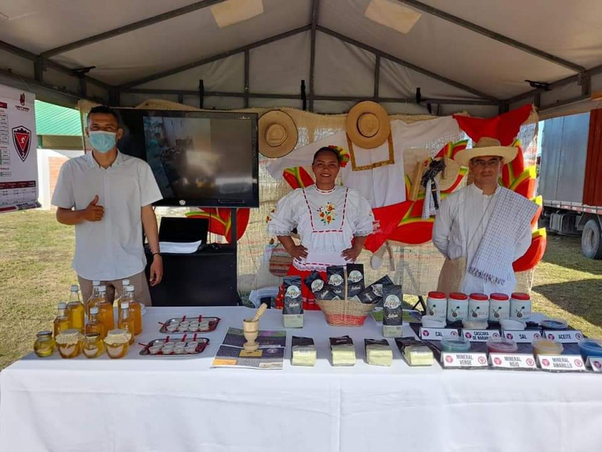 De los domicilios a la apicultura: las abejas que cambiaron la vida de una familia tolimense