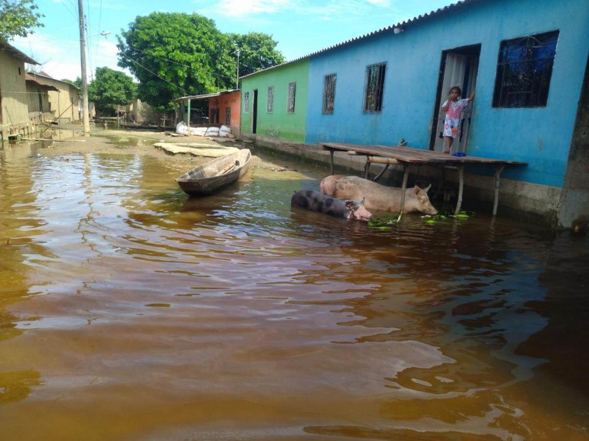 Lluvias en La Mojana sucreña | Más de 30 mil personas damnificadas deja la ola invernal 