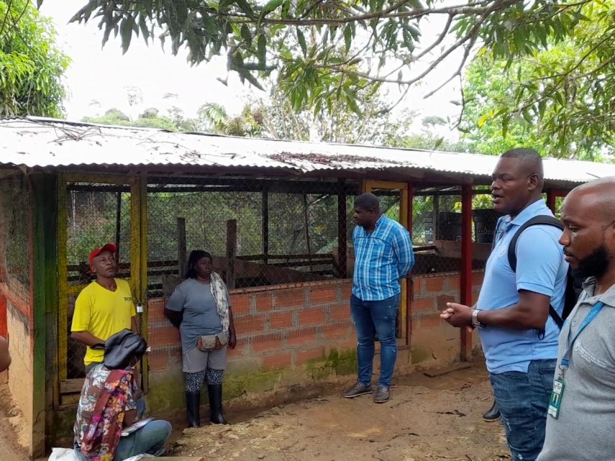 Mujeres en Bojayá construyen con sus proyectos productivos soberanía alimentaria