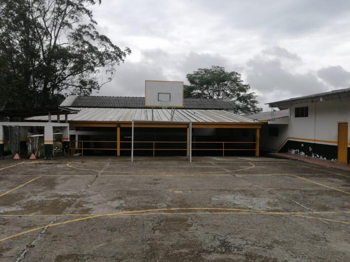 ¿Por qué en Risaralda, Caldas niños están sin transporte escolar rural? ¿Por qué en Risaralda, Caldas niños están sin transporte escolar rural?